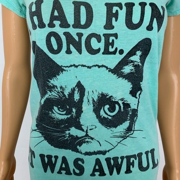 Grumpy Cat I Had Fun Once It Was Awful T Shirt Sm - Picture 1 of 6